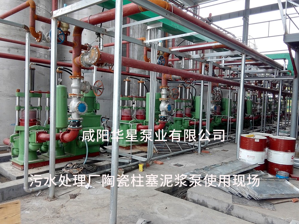 污水處理廠咸陽柱塞泵使用現場